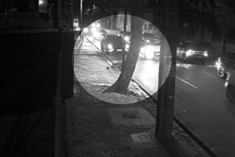 Captura De Tela 2024 09 30 114943