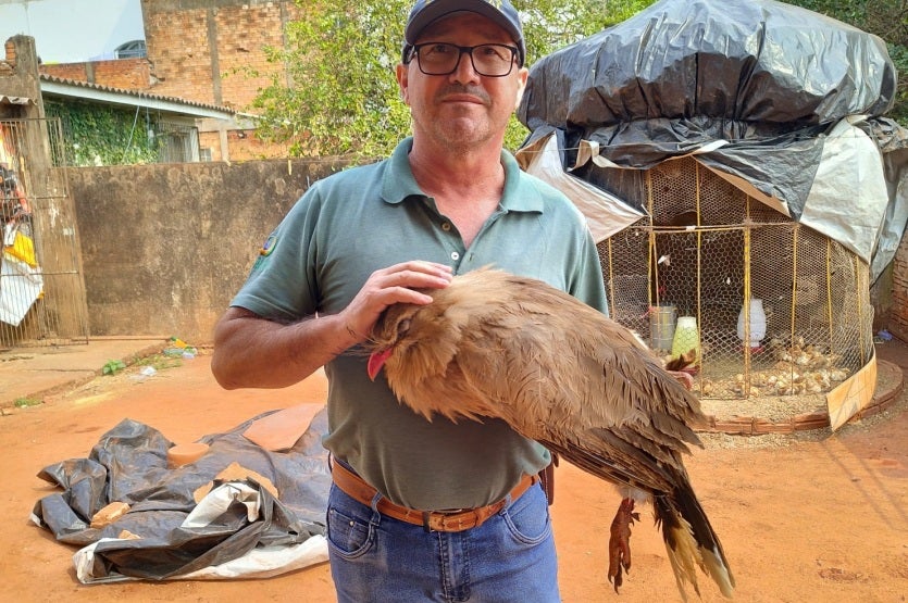 Imagem Do Whatsapp De 2024 09 03 à(s) 18.44.48 8d1c82d9