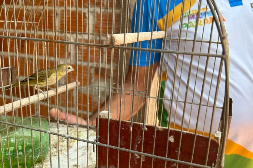 Imagem Do Whatsapp De 2024 09 04 à(s) 20.57.08 Ffa18b91