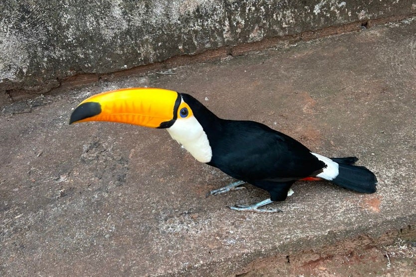 Imagem Do Whatsapp De 2024 09 04 à(s) 20.57.10 C67e80d4