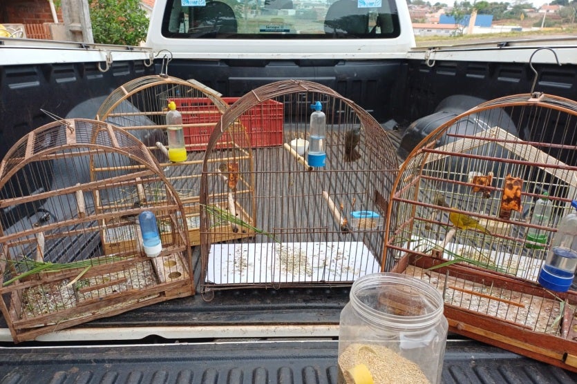 Imagem Do Whatsapp De 2024 09 05 à(s) 17.25.22 E6fd6f09