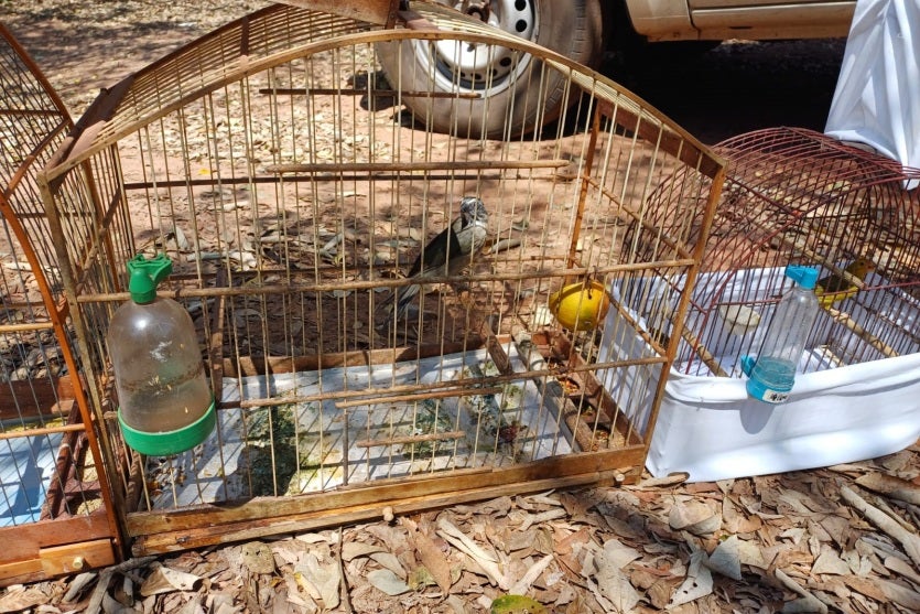 Imagem Do Whatsapp De 2024 09 05 à(s) 17.25.23 455de2c7