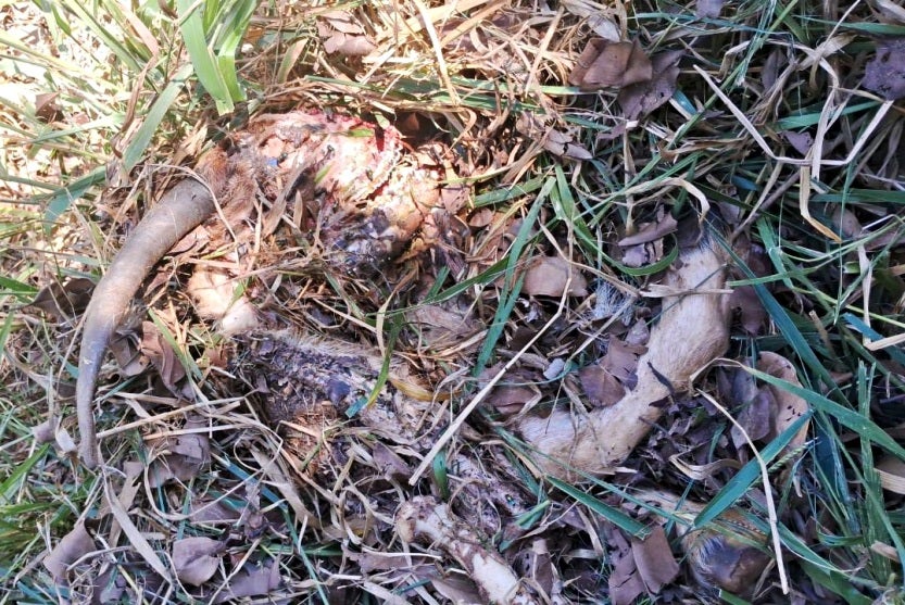 Imagem Do Whatsapp De 2024 09 11 à(s) 18.14.32 50a3943f