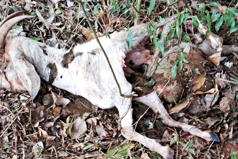 Imagem Do Whatsapp De 2024 09 11 à(s) 18.14.32 8230c29e