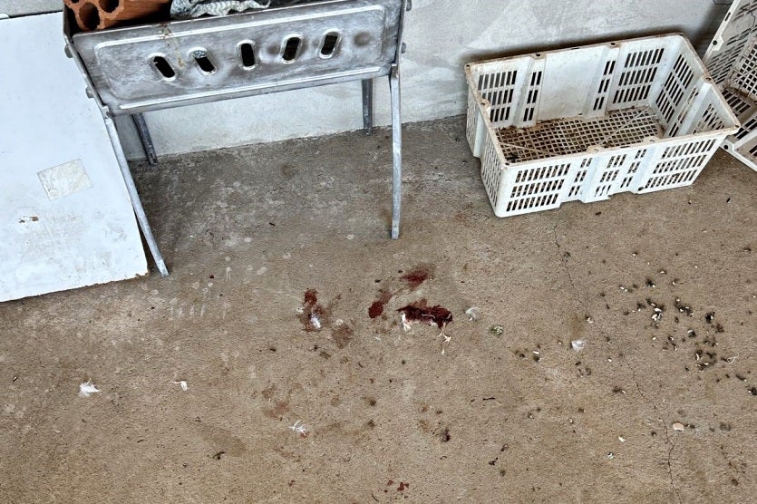 Imagem Do Whatsapp De 2024 09 11 à(s) 18.14.32 Df999eaf