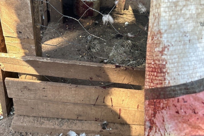 Imagem Do Whatsapp De 2024 09 11 à(s) 18.14.33 27f5803e