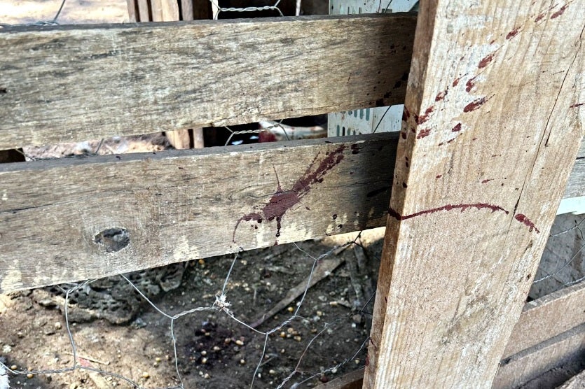 Imagem Do Whatsapp De 2024 09 11 à(s) 18.14.33 82e737e7