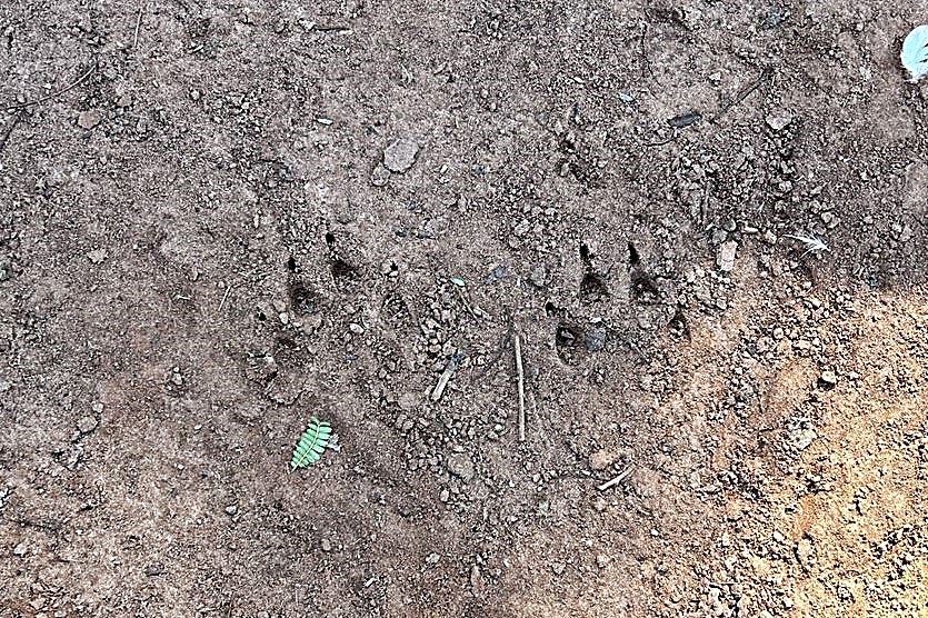 Imagem Do Whatsapp De 2024 09 11 à(s) 18.14.34 823844e8