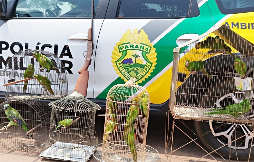 Imagem Do Whatsapp De 2024 09 25 à(s) 17.38.11 Ab55bb93