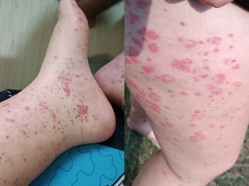 Imagem Do Whatsapp De 2024 09 27 à(s) 21.32.51 Ac81d513