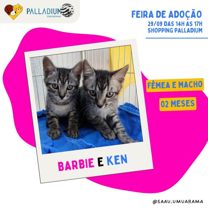 Imagem Do Whatsapp De 2024 09 28 à(s) 23.05.00 3c4db56a