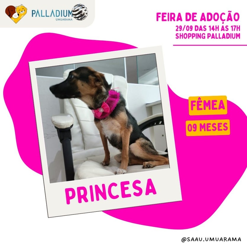 Imagem Do Whatsapp De 2024 09 28 à(s) 23.05.01 44479a3a