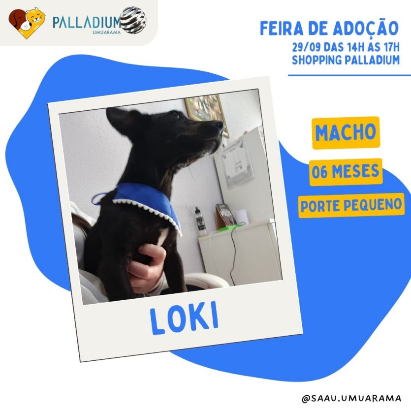 Imagem Do Whatsapp De 2024 09 28 à(s) 23.05.01 Aa6aec2c