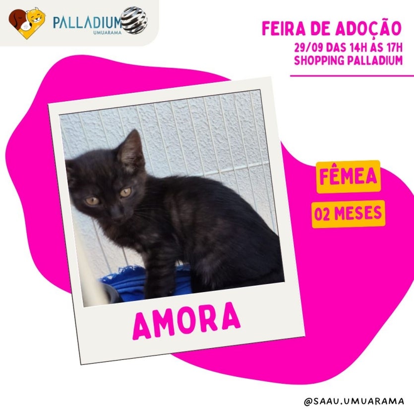 Imagem Do Whatsapp De 2024 09 28 à(s) 23.05.01 F9f200d1