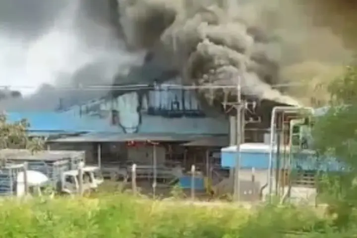 Imagens E Videos Compartilhados Nas Redes Sociais 00913903 0 202409081651 Scaledownproportional