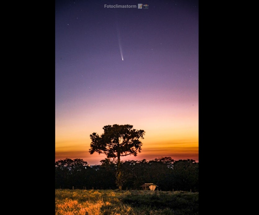 Márcio Evangelista (4)