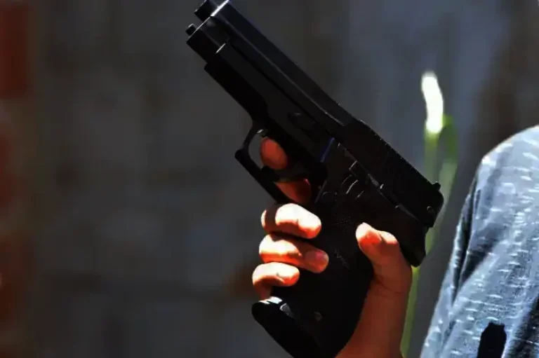 Pág 9 Arma Pistola 25 768x511.jpg