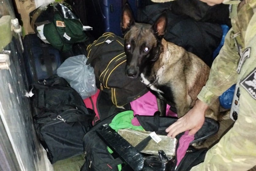 Whatsapp Image 2024 09 08 At 11.21.58