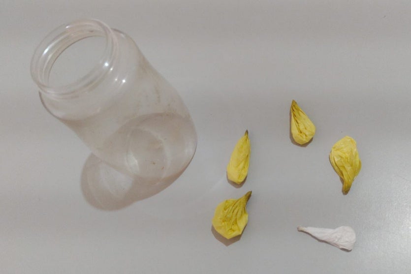 Whatsapp Image 2024 09 18 At 14.27.50 1