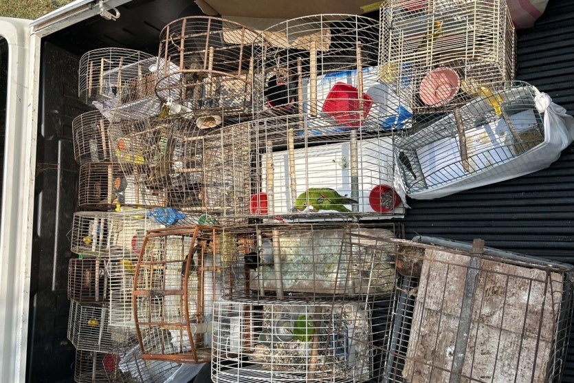 Whatsapp Image 2024 09 19 At 11.07.33