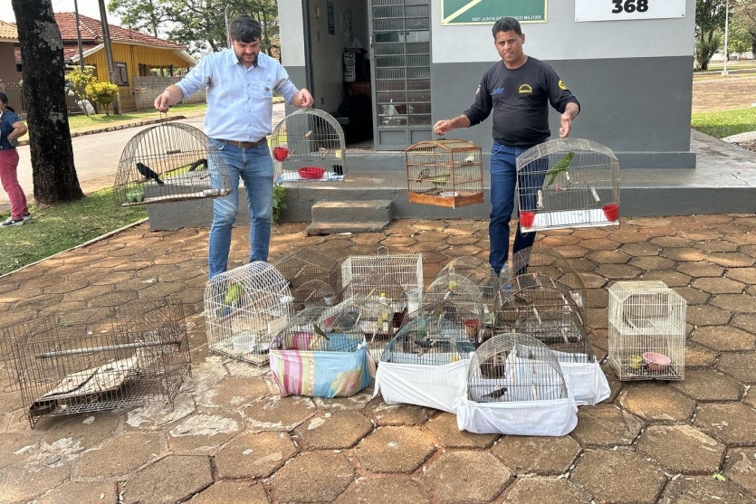 Whatsapp Image 2024 09 19 At 11.07.40