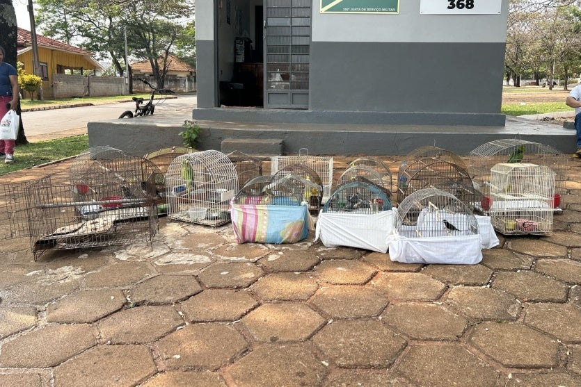 Whatsapp Image 2024 09 19 At 11.07.43 (1)