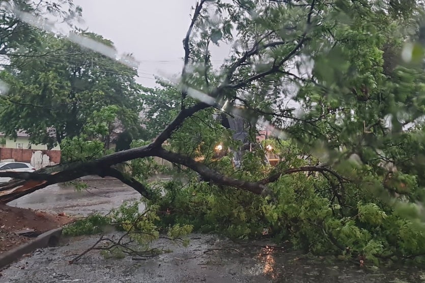 Whatsapp Image 2024 09 20 At 17.06.04