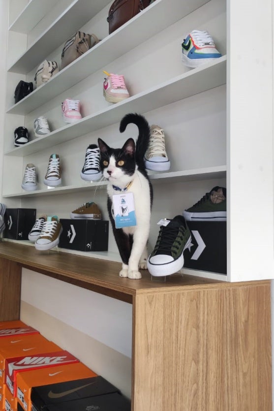 Whatsapp Image 2024 09 25 At 11.30.50