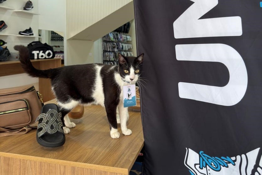 Whatsapp Image 2024 09 25 At 11.33.22