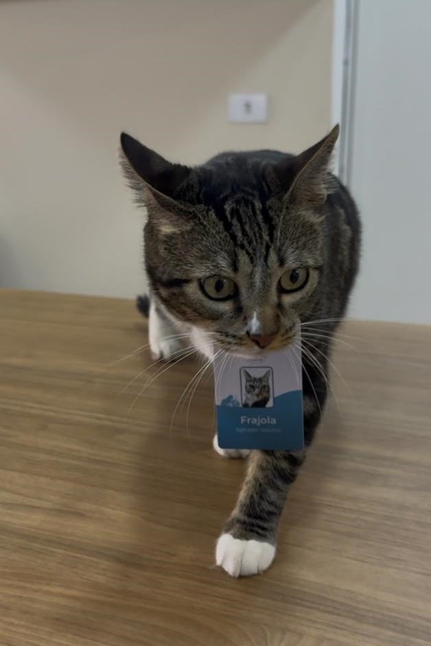 Whatsapp Image 2024 09 25 At 11.33.34