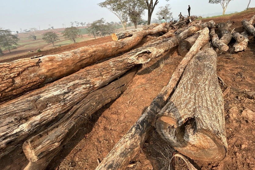 Alto Paraiso 3 Iat Umuarama