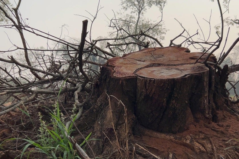 Alto Paraiso 4 Iat Umuarama