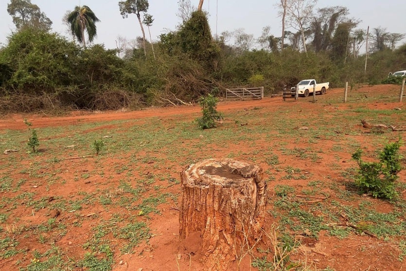 Alto Paraiso 6 Iat Umuarama