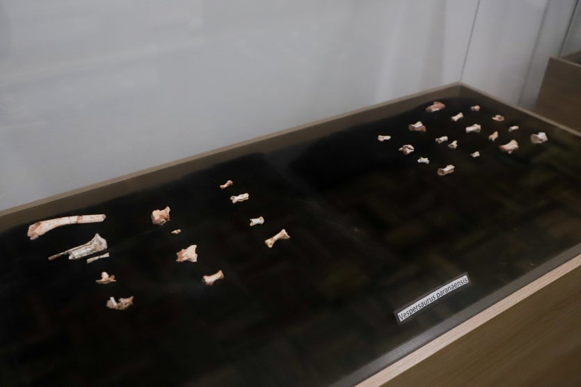 Museu De Paleontologia Cruzeiro Do Oeste 26 06 24 18