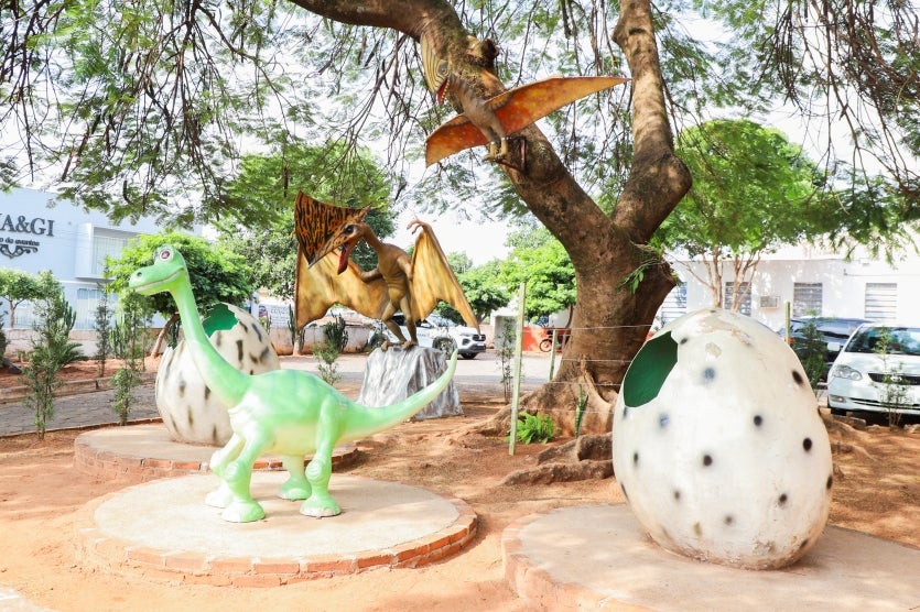 Museu De Paleontologia Cruzeiro Do Oeste 26 06 24 81