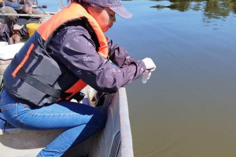 1 Pe.2e16d0ba.fill 1024x538.format Jpeg.jpegquality 80