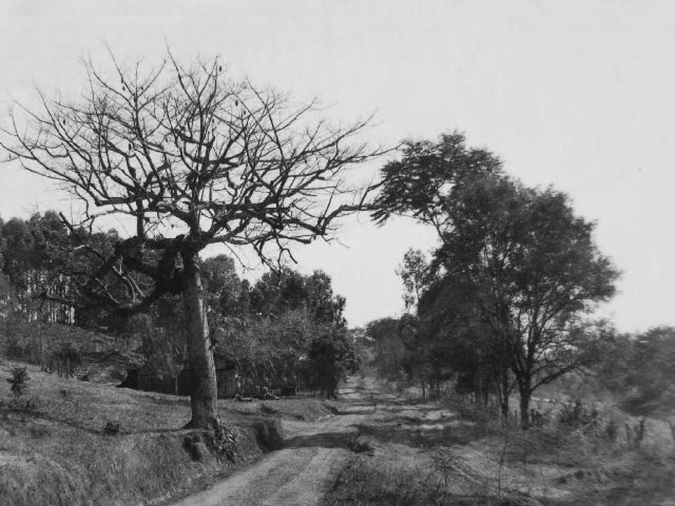 462543801 922892106567286 8757543474528319368 N