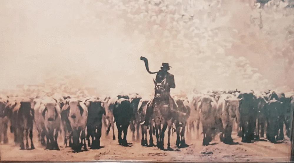 462575308 381073235086563 6957792056405438095 N