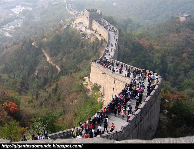 462583120 476032398816539 3119502740886471286 N