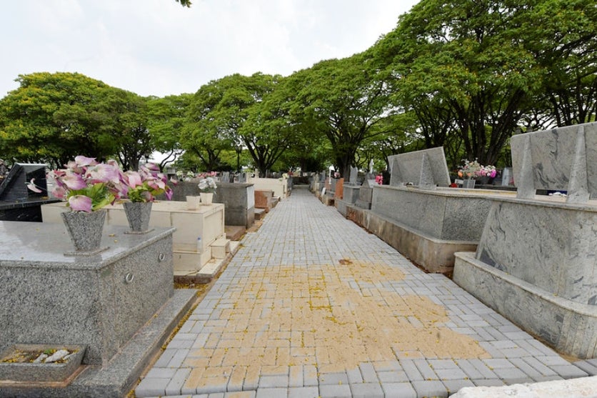 54050755844 7ce9dc689e C