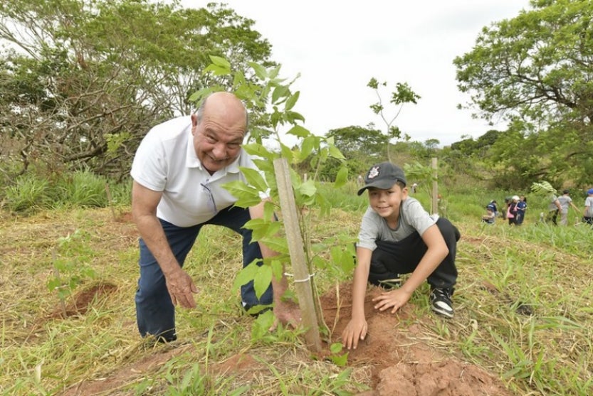 54083534994 1c12c8c0d4 C