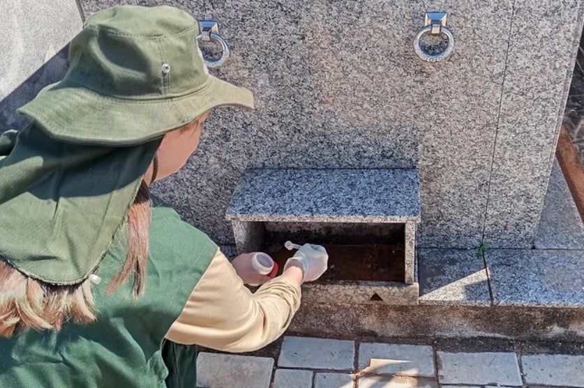 54107940933 9c9469d612 C