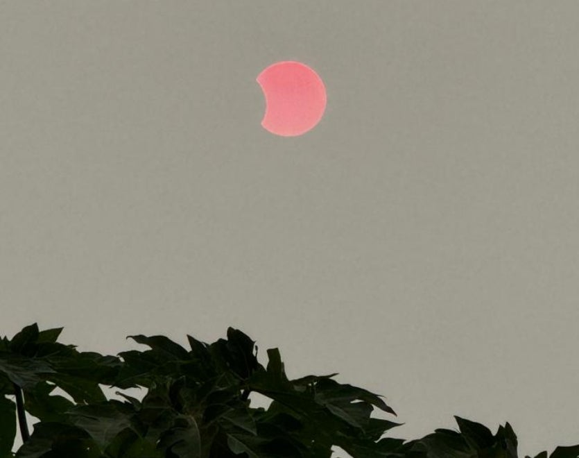 Imagem Do Whatsapp De 2024 10 02 As 17.56.02 8ad4053e