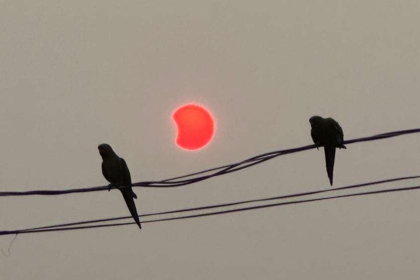 Imagem Do Whatsapp De 2024 10 02 à(s) 18.23.21 2728b22a