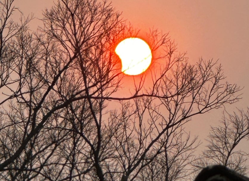 Imagem Do Whatsapp De 2024 10 02 As 18.23.23 5bd6b027