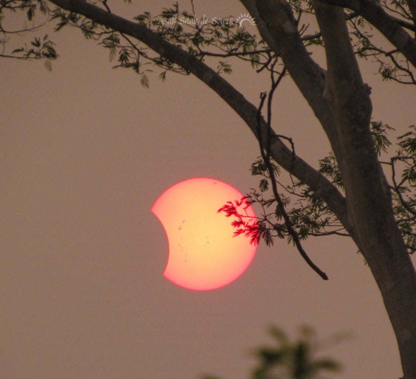 Whatsapp Image 2024 10 02 At 18.34.24