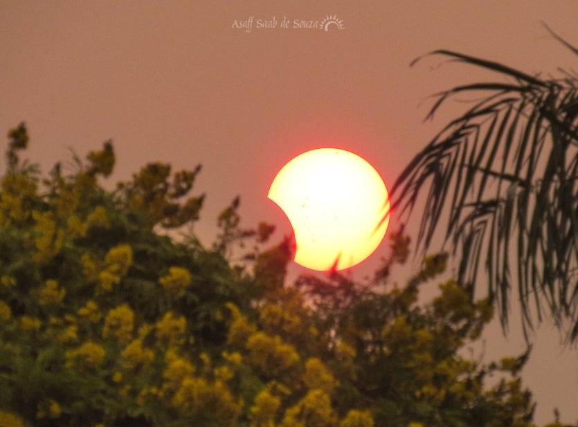 Whatsapp Image 2024 10 02 At 18.34.31