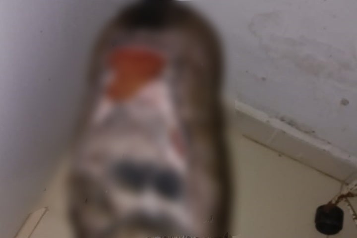 Whatsapp Image 2024 10 03 At 12.04.41 (1)