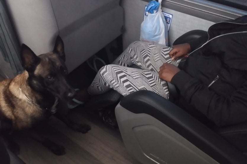 Whatsapp Image 2024 10 15 At 07.23.33