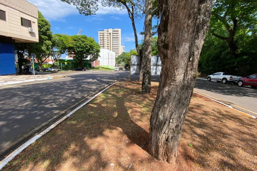 Whatsapp Image 2024 10 23 At 09.29.27